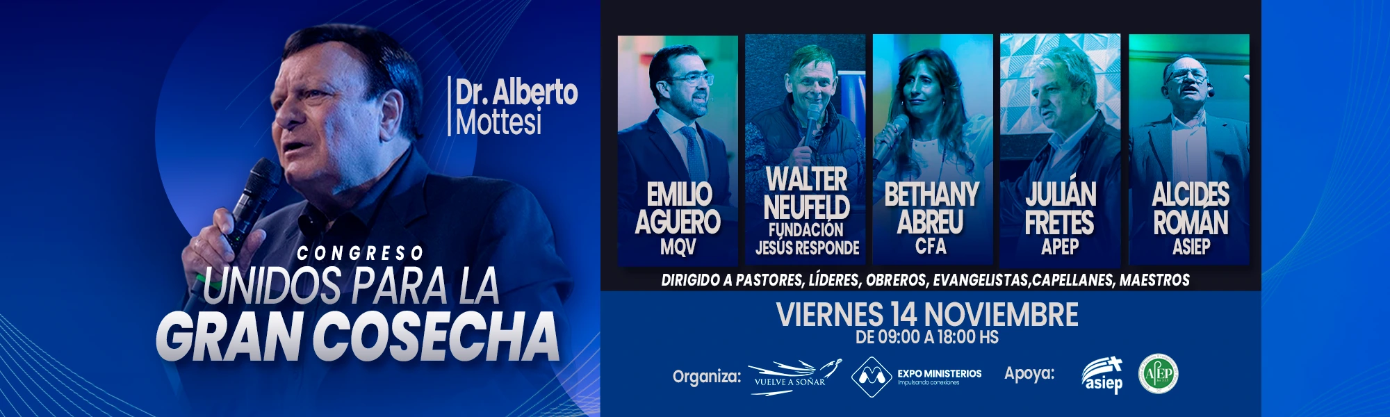 mottesi sin beca 800x800x